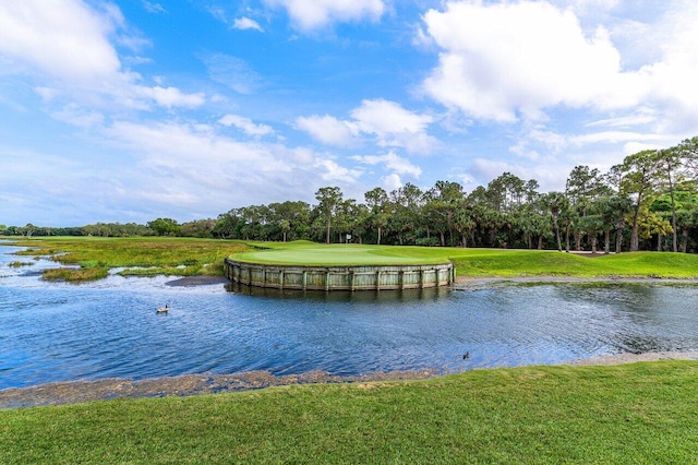 7500 Marsh Cv, Palm Beach Gardens, FL 33418 - water view featuring a tree filled landscape and a golf club