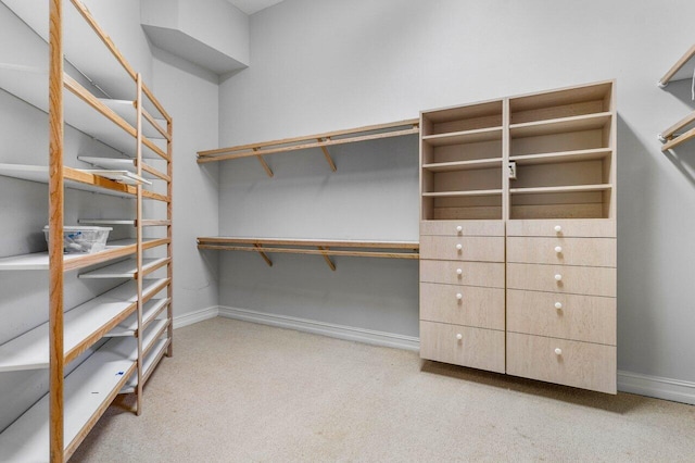 7500 Marsh Cv, Palm Beach Gardens, FL 33418 - spacious closet with carpet floors