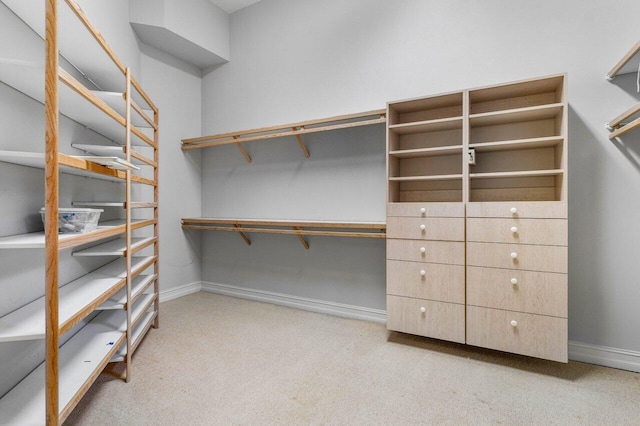 spacious closet with carpet floors