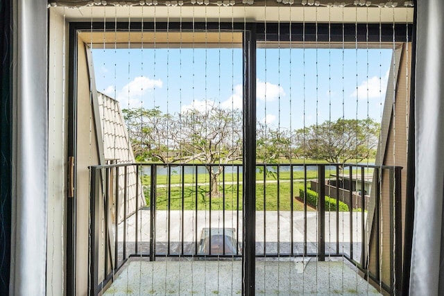 entryway with plenty of natural light