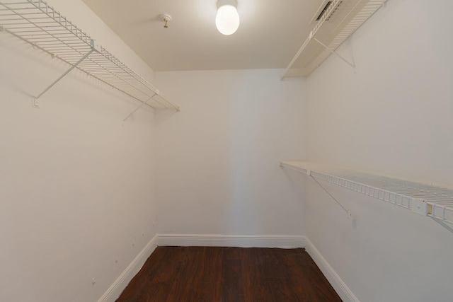 walk in closet featuring wood finished floors