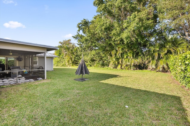 view of yard featuring a patio