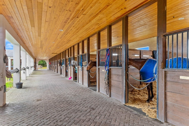 view of stable