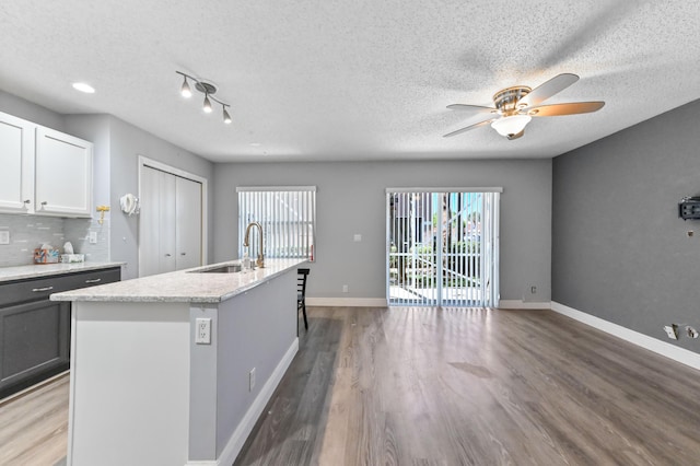 kitchen featuring wood finished floors, a center island with sink, baseboards, a sink, and decorative backsplash