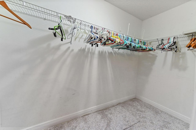 walk in closet featuring carpet floors