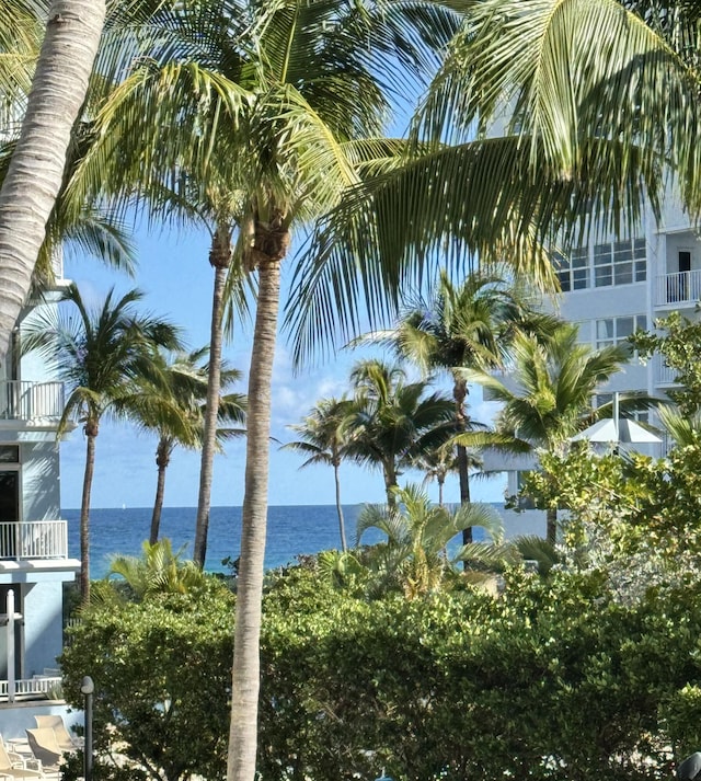 view of water feature