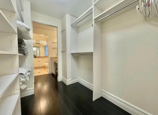spacious closet featuring dark wood-style flooring