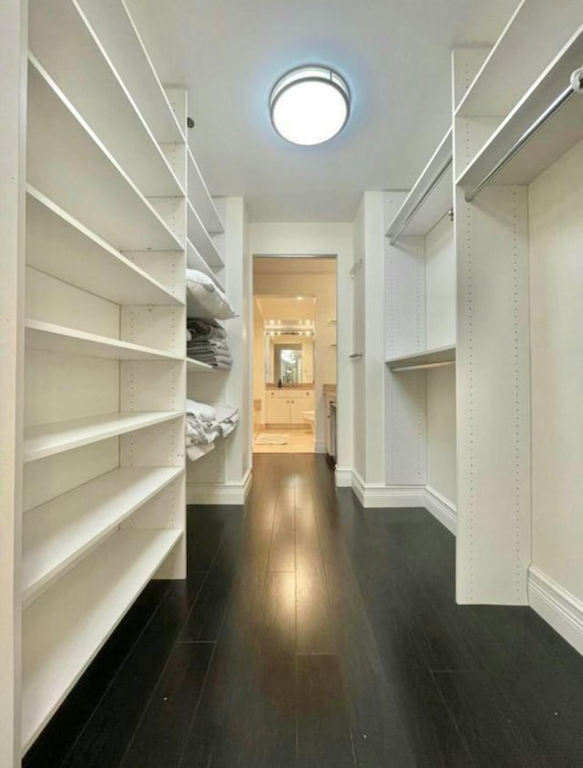 spacious closet with dark wood-style floors