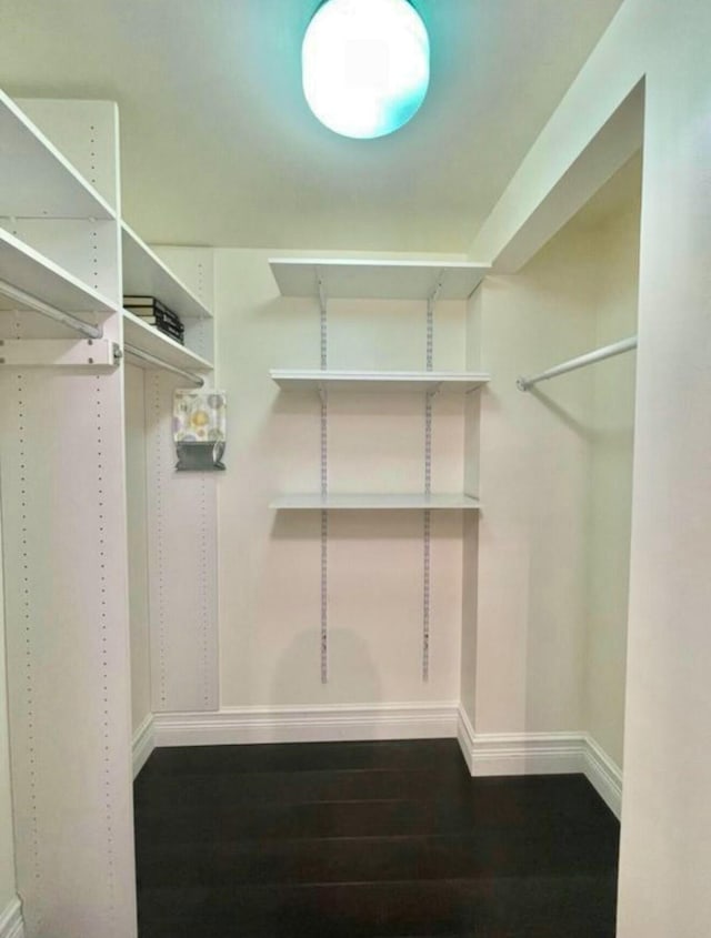 walk in closet featuring wood finished floors