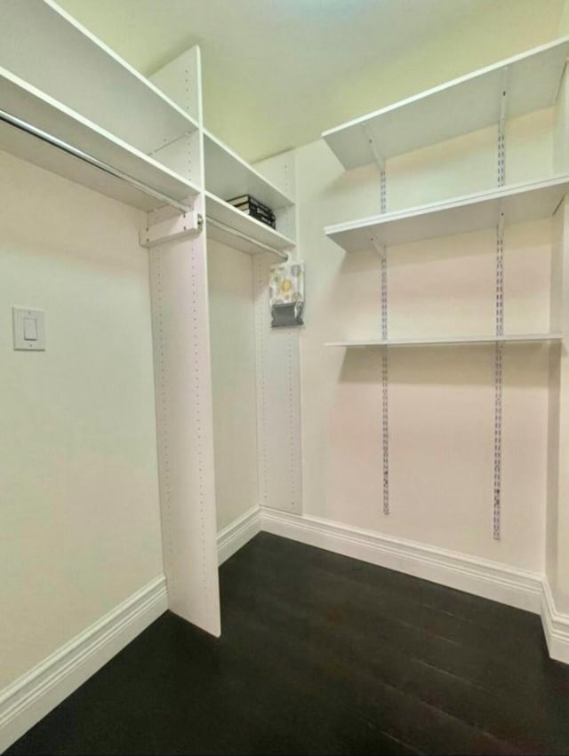 walk in closet featuring dark wood finished floors