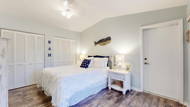 bedroom featuring lofted ceiling, wood finished floors, and multiple closets