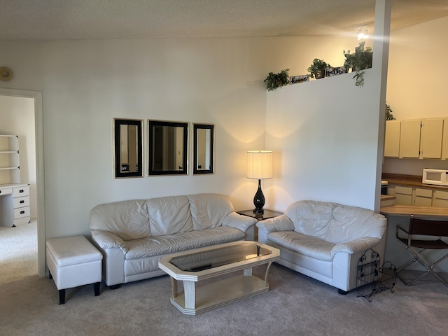 living area featuring carpet flooring