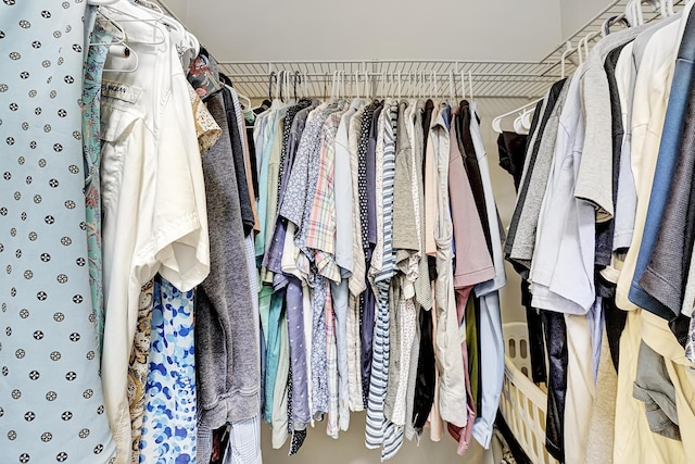 view of spacious closet