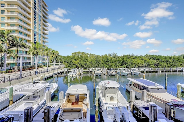 dock area with a water view