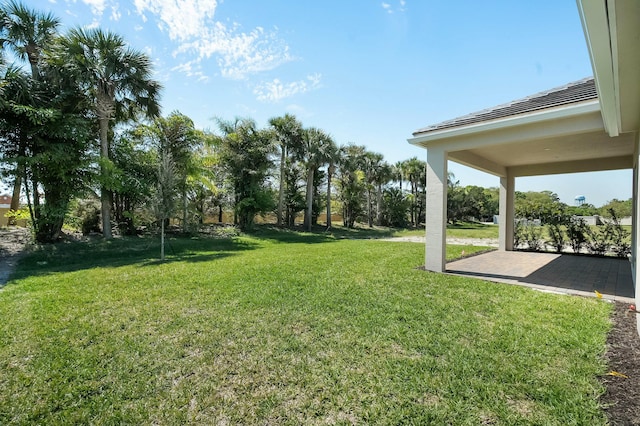 view of yard featuring a patio area