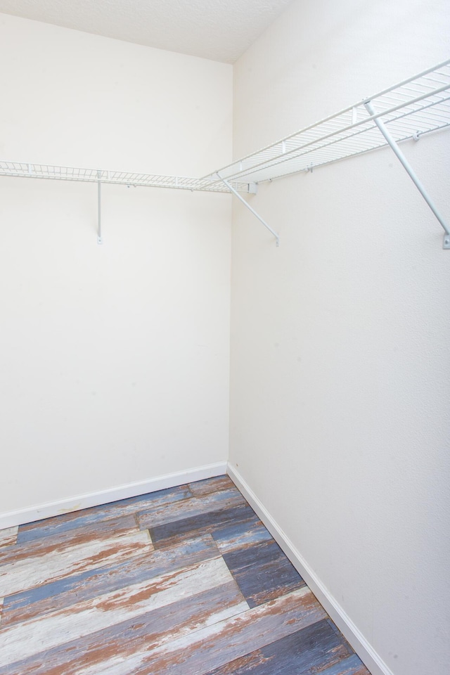 spacious closet featuring wood finished floors