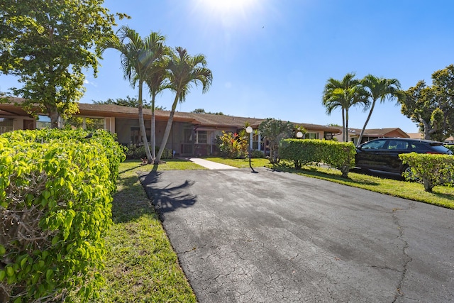 ranch-style home featuring aphalt driveway and a front yard