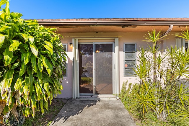 view of exterior entry featuring stucco siding