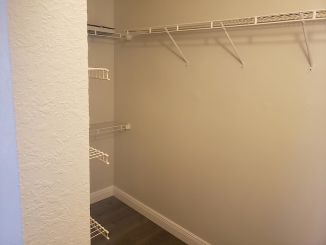 walk in closet featuring dark wood finished floors