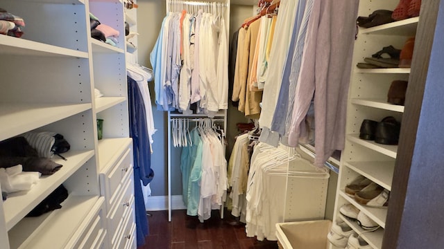 spacious closet featuring dark wood-type flooring