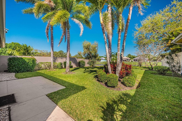 view of yard with a patio area and a fenced backyard