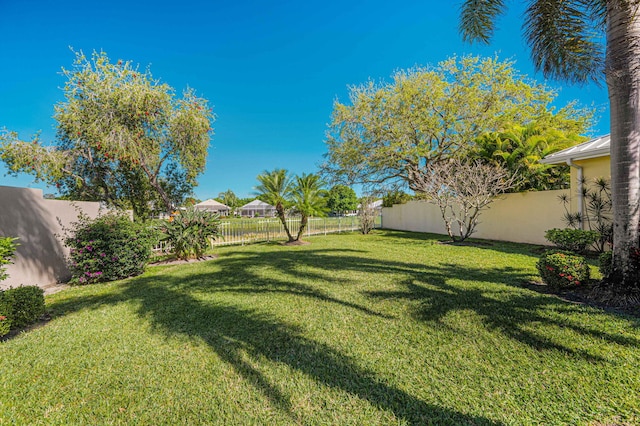 view of yard with a fenced backyard