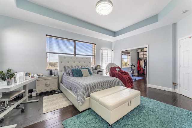 bedroom featuring dark wood-style floors, a spacious closet, a tray ceiling, and baseboards