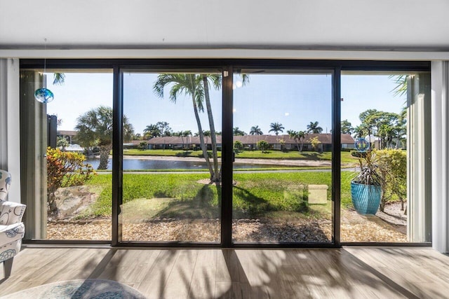 entryway with a healthy amount of sunlight, a water view, and wood finished floors