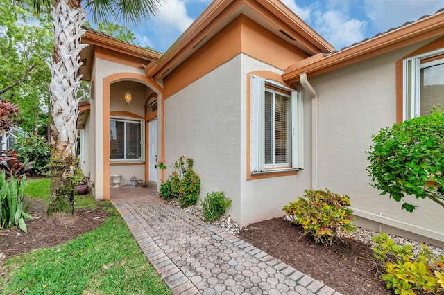 doorway to property featuring stucco siding