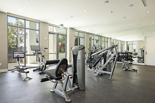 exercise room featuring plenty of natural light, baseboards, visible vents, and expansive windows