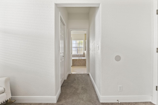 hallway with carpet, baseboards, and a textured wall