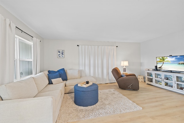 living area with wood finished floors