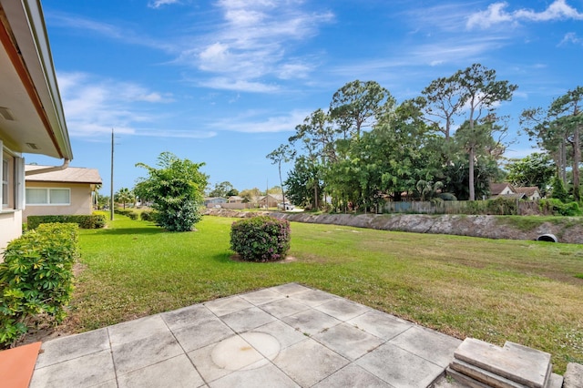 view of yard with a patio