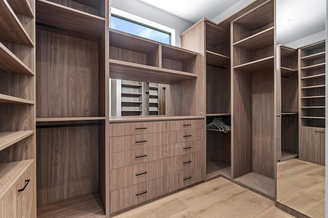 spacious closet featuring light wood-style floors