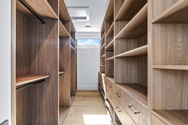 spacious closet featuring light wood finished floors