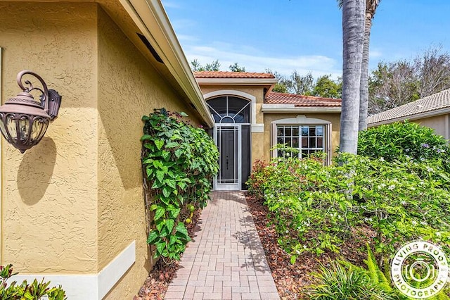 view of exterior entry featuring a tile roof and stucco siding