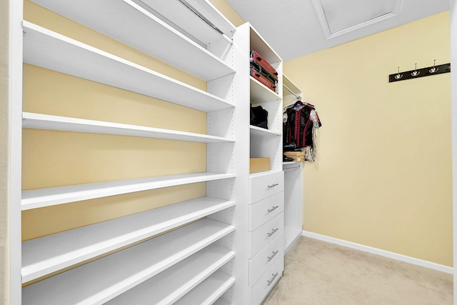 walk in closet with attic access and light colored carpet