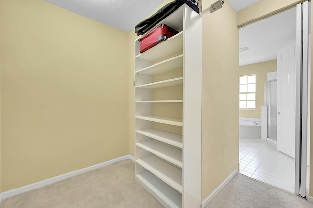 walk in closet featuring carpet floors and tile patterned floors