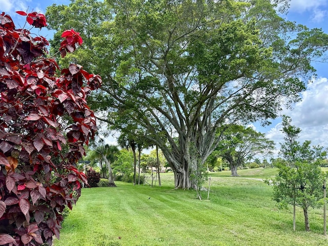 4822 Esedra Ct Unit 101, Lake Worth, FL 33467 - view of grassy yard