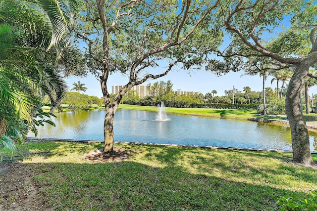 view of water feature