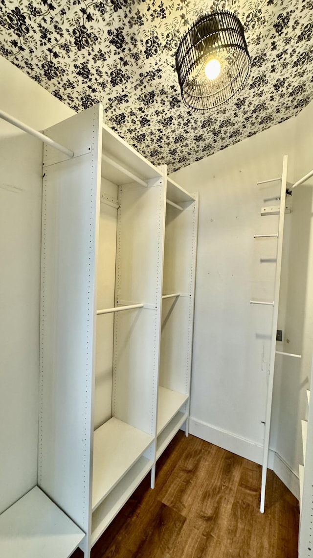 spacious closet featuring wood finished floors