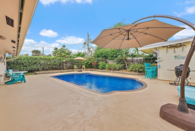 view of swimming pool featuring a fenced in pool, a patio area, a grill, and a fenced backyard