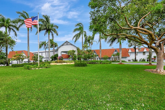 view of yard featuring a residential view