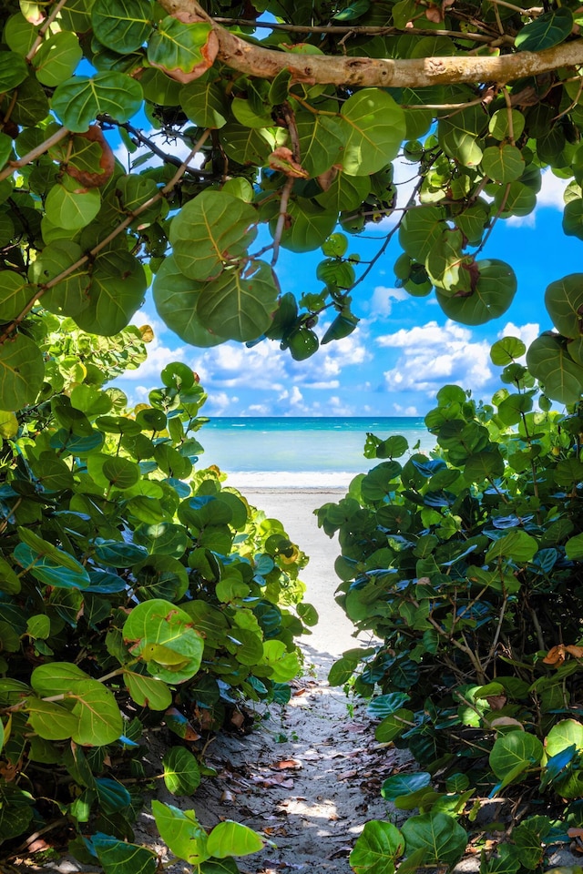 water view with a view of the beach