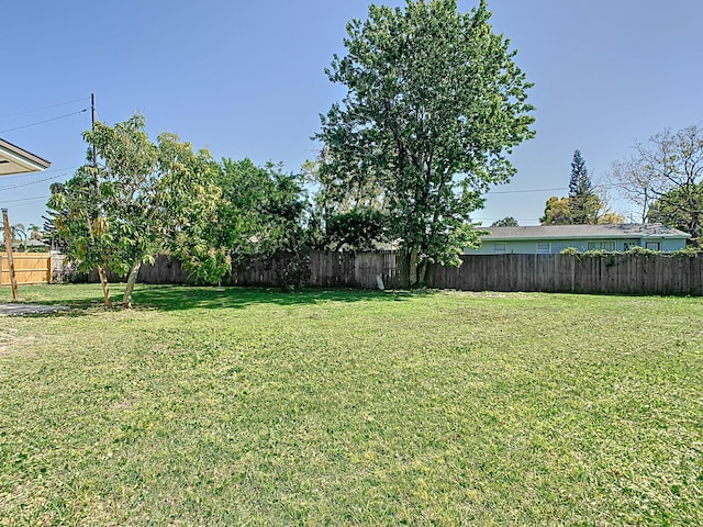 view of yard featuring a fenced backyard