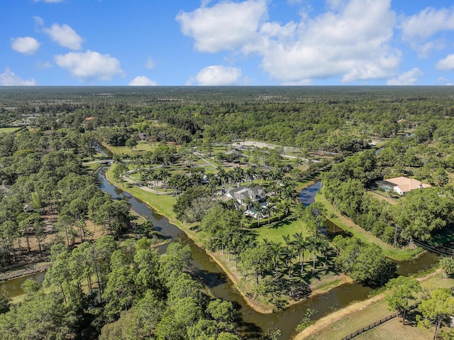 bird's eye view with a water view and a forest view