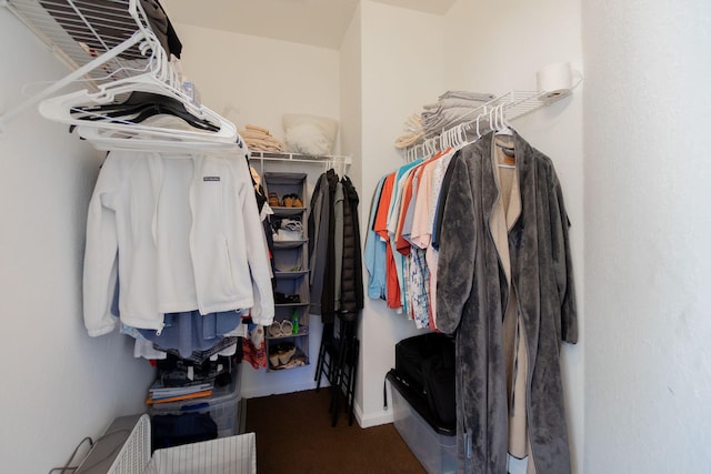 view of spacious closet