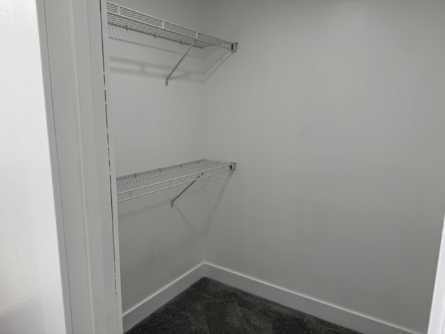 walk in closet featuring dark carpet