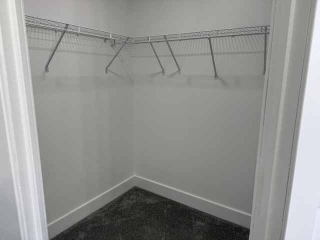 walk in closet featuring dark colored carpet