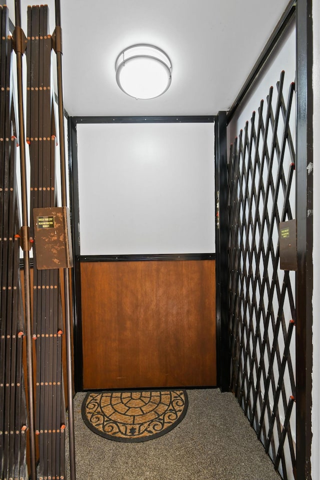 interior space featuring a wainscoted wall and carpet floors